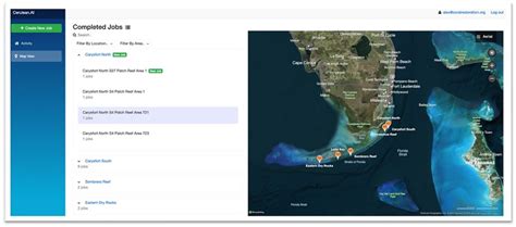 how ai ceruleanai coral foundation theverge: exploring the intersection of technology and marine conservation