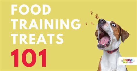 What are the best training treats for dogs, and why do cats always seem to steal them?