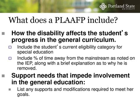 What is a PLAFFP in Special Education? And Why Does It Sometimes Feel Like a Puzzle Missing a Few Pieces?